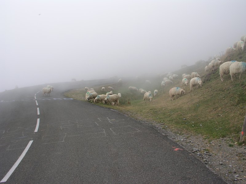 Pyreneje   24. srpna 2012 16:56:53     P8240123