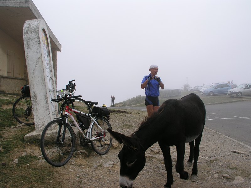 Pyreneje   24. srpna 2012 17:07:53     P8240126