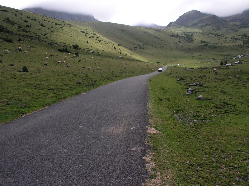 Pyreneje   26. srpna 2012 15:41:37     P8260214