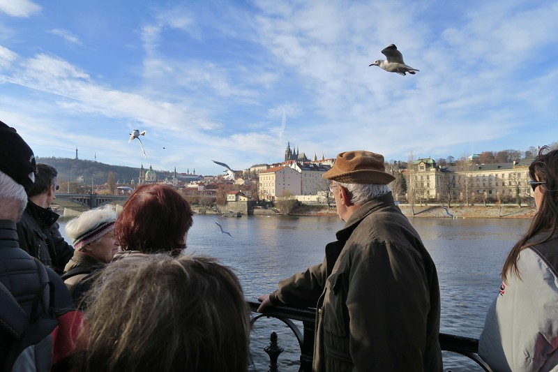 Vltava   10. prosince 2016 12:08:59     C161210_120858_012 