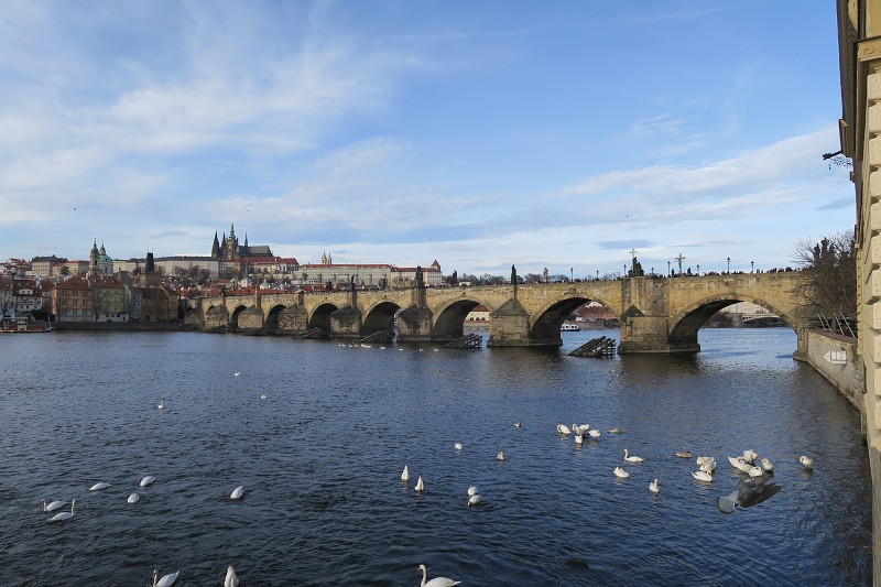 Vltava   10. prosince 2016 12:38:29     C161210_123828_014 